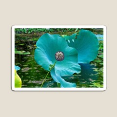 Large Blue Green Pond Flower<br />- Magnet