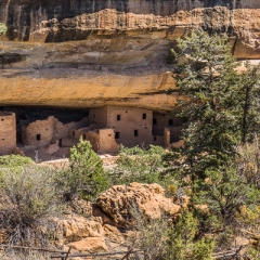Mesa Verde, Spruce Tree House - MesaVerdePueblo-0064