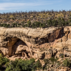 Mesa Verde, Oak Tree House - MesaVerdePueblo-0139