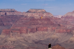 Body being removed from Grand Canyon, Condor in foreground - GC1232