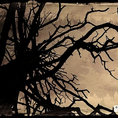 Spooky Dead Tree