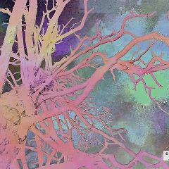 Colorful Tree