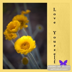 Love Yourself