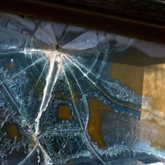 Broken Windshield
