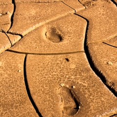 Footprints In Dried Mud