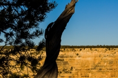 Grand Canyon - GC0184