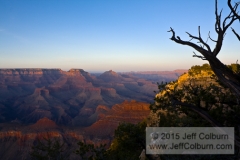 Grand Canyon - GC1304