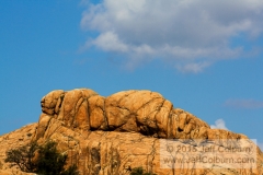 Rock in Repose - GDEL0249